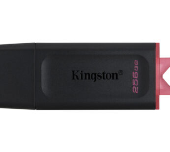 Kingston DataTraveler Exodia – Unidad flash USB – 256 GB – USB 3.2 Gen 1 – negro/rosa